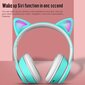 Berimax Cat Ears RGB K26 BRM_0504084LB цена и информация | Ausinės | pigu.lt