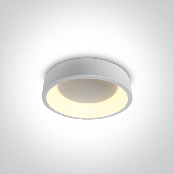 ONELight lubinis šviestuvas LED 62130N/W/W kaina ir informacija | Lubiniai šviestuvai | pigu.lt