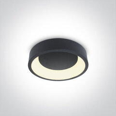 ONELight потолочный светильник LED 62130N/AN/W цена и информация | Потолочные светильники | pigu.lt