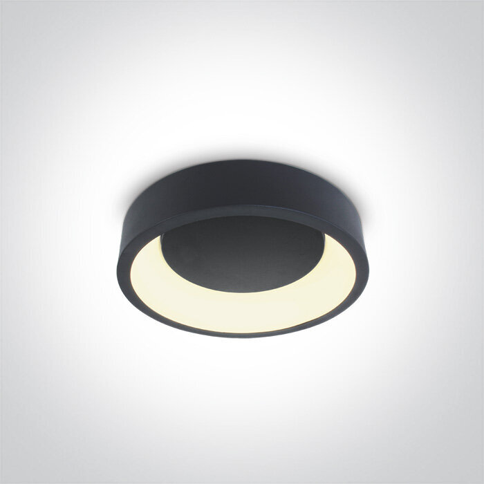 ONELight lubinis šviestuvas LED 62130N/AN/W kaina ir informacija | Lubiniai šviestuvai | pigu.lt
