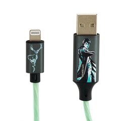 Светящийся зарядный кабель Harry Potter с разъемами USB A - C, длина 1,2 м. цена и информация | Кабели для телефонов | pigu.lt
