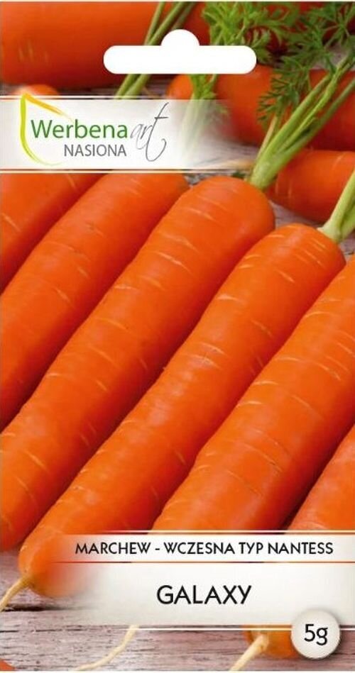 Valgomosios morkos Galaxy kaina ir informacija | Daržovių, uogų sėklos | pigu.lt