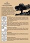 Medžio drožlės Smokey Olive Wood Avocado No.3, 1,7 l kaina ir informacija | Medžio anglis, briketai, uždegimo priemonės | pigu.lt
