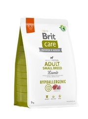 Brit Care Hypoallergenic Adult mažų veislių šunims su ėriena ir ryžiais, 3 kg цена и информация | Brit Товары для животных | pigu.lt