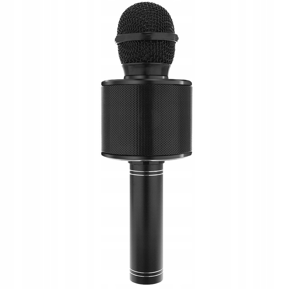 Karaoke mikrofonas su garsiakalbiu vaikams, juodas kaina ir informacija | Lavinamieji žaislai | pigu.lt
