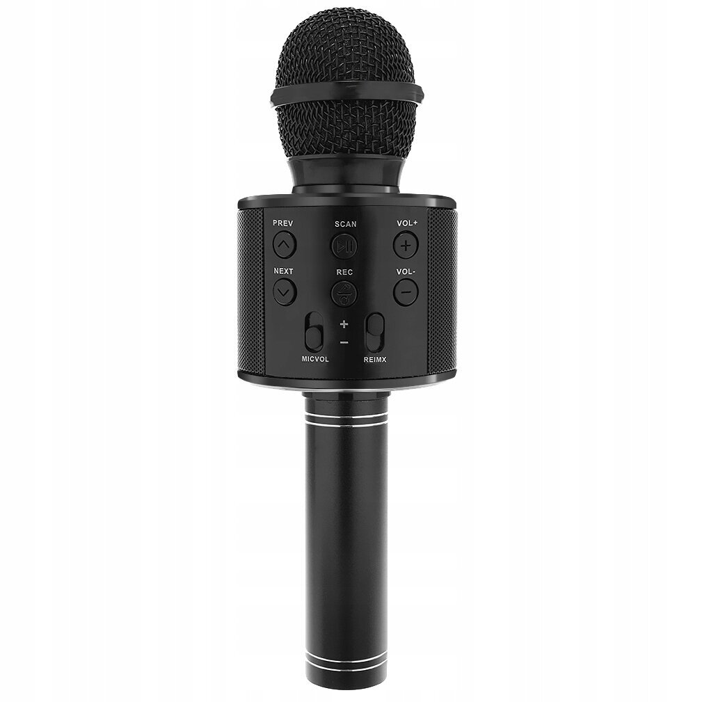Karaoke mikrofonas su garsiakalbiu vaikams, juodas kaina ir informacija | Lavinamieji žaislai | pigu.lt