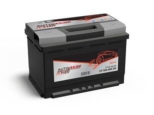 Akumuliatorius Autoserio 550027042, 12 V цена и информация | Аккумуляторы | pigu.lt