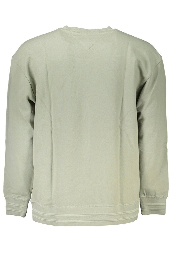 Tommy Hilfiger džemperis vyrams DM0DM13881, žalias kaina ir informacija | Džemperiai vyrams | pigu.lt