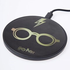 Светящийся зарядный кабель Harry Potter с разъемами USB A - C, длина 1,2 м. цена и информация | Зарядные устройства для телефонов | pigu.lt