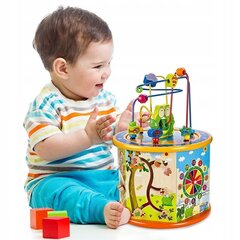 Mokomasis kubas Wooden Toy 8in1 цена и информация | Игрушки для малышей | pigu.lt