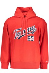 Tommy Hilfiger džemperis vyrams DM0DM15711-1, raudonas kaina ir informacija | Džemperiai vyrams | pigu.lt