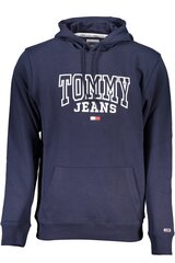 Tommy Hilfiger džemperis vyrams DM0DM16792, mėlynas kaina ir informacija | Džemperiai vyrams | pigu.lt