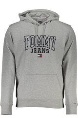 Tommy Hilfiger džemperis vyrams DM0DM16792, pilkas kaina ir informacija | Džemperiai vyrams | pigu.lt