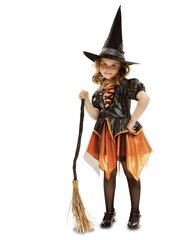 Karnavalinis kostiumas Raganaitė 10-12 metai kaina ir informacija | Karnavaliniai kostiumai | pigu.lt