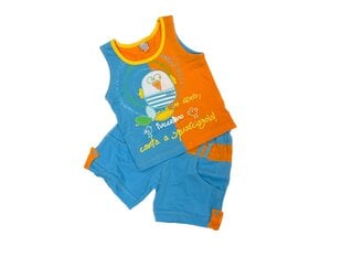 Комплект WillB 2в1 цена и информация | Комплекты одежды для новорожденных | pigu.lt