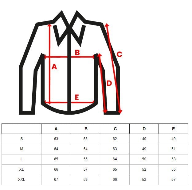 Marškiniai vyrams Nater NB/MC727R, raudoni kaina ir informacija | Vyriški marškiniai | pigu.lt
