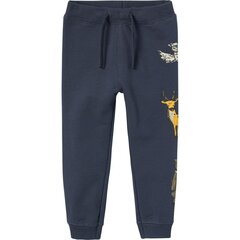 Name It SWEAT PANT 13221489 284617 цена и информация | Брюки для девочки, бирюзовые | pigu.lt