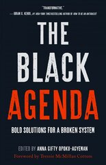 Black Agenda: Bold Solutions for a Broken System цена и информация | Книги по экономике | pigu.lt