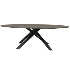 Stalas Aatrium Cox, 120x240 cm, rudas kaina ir informacija | Virtuvės ir valgomojo stalai, staliukai | pigu.lt