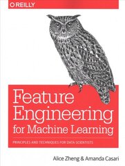 Feature Engineering for Machine Learning: Principles and Techniques for Data Scientists цена и информация | Книги по экономике | pigu.lt