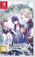 NSW Norn9: последняя эпоха цена и информация | Компьютерные игры | pigu.lt