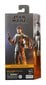 Figūrėlė Star Wars The Black Series Din Djarin, 15 cm цена и информация | Žaislai berniukams | pigu.lt