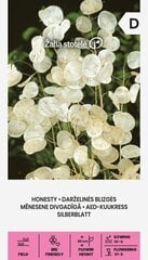 Darželinės blizgės Žalia stotelė kaina ir informacija | Gėlių sėklos | pigu.lt
