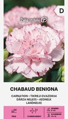Tikrieji gvazdikai Chabaud Benigna Žalia stotelė kaina ir informacija | Gėlių sėklos | pigu.lt
