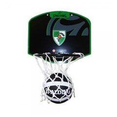 Krepšinio lenta Spalding Euroleague, 29x24 cm цена и информация | Баскетбольные щиты | pigu.lt