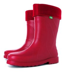 Guminiai batai moterims Demar C022037, raudoni kaina ir informacija | Guminiai batai moterims | pigu.lt