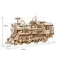 Medinis 3D galvosūkis TM Varvikas Locomotive RK001e kaina ir informacija | Konstruktoriai ir kaladėlės | pigu.lt