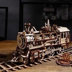 Medinis 3D galvosūkis TM Varvikas Locomotive RK001e kaina ir informacija | Varvikas - the world of bright… Vaikams ir kūdikiams | pigu.lt