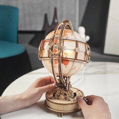 Medinis 3D galvosūkis TM Varvikas Luminous Globe RK009e kaina ir informacija | Konstruktoriai ir kaladėlės | pigu.lt