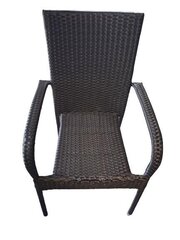 Sodo kėdė, ruda kaina ir informacija | Lauko kėdės, foteliai, pufai | pigu.lt