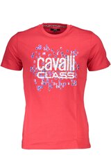 Cavalli Class marškinėliai vyrams QXT61U-JD060, raudoni kaina ir informacija | Vyriški marškinėliai | pigu.lt