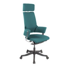 Darbo kėdė Delphi, mėlyna kaina ir informacija | Biuro kėdės | pigu.lt