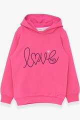 Džemperis mergaitėms Breeze Girls, rožinis kaina ir informacija | Megztiniai, bluzonai, švarkai mergaitėms | pigu.lt