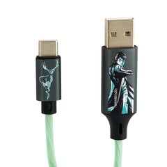 Светящийся зарядный кабель Harry Potter с разъемами USB A - C, длина 1,2 м. цена и информация | Кабели для телефонов | pigu.lt