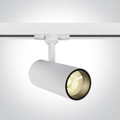 ONELight lubinis šviestuvas COB Cylinder LED 65642BT/W/W kaina ir informacija | Lubiniai šviestuvai | pigu.lt