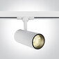 ONELight lubinis šviestuvas COB Cylinder LED 65642BT/W/W цена и информация | Lubiniai šviestuvai | pigu.lt