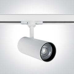 ONELight lubinis šviestuvas COB Cylinder LED 65642BT/W/C kaina ir informacija | Lubiniai šviestuvai | pigu.lt