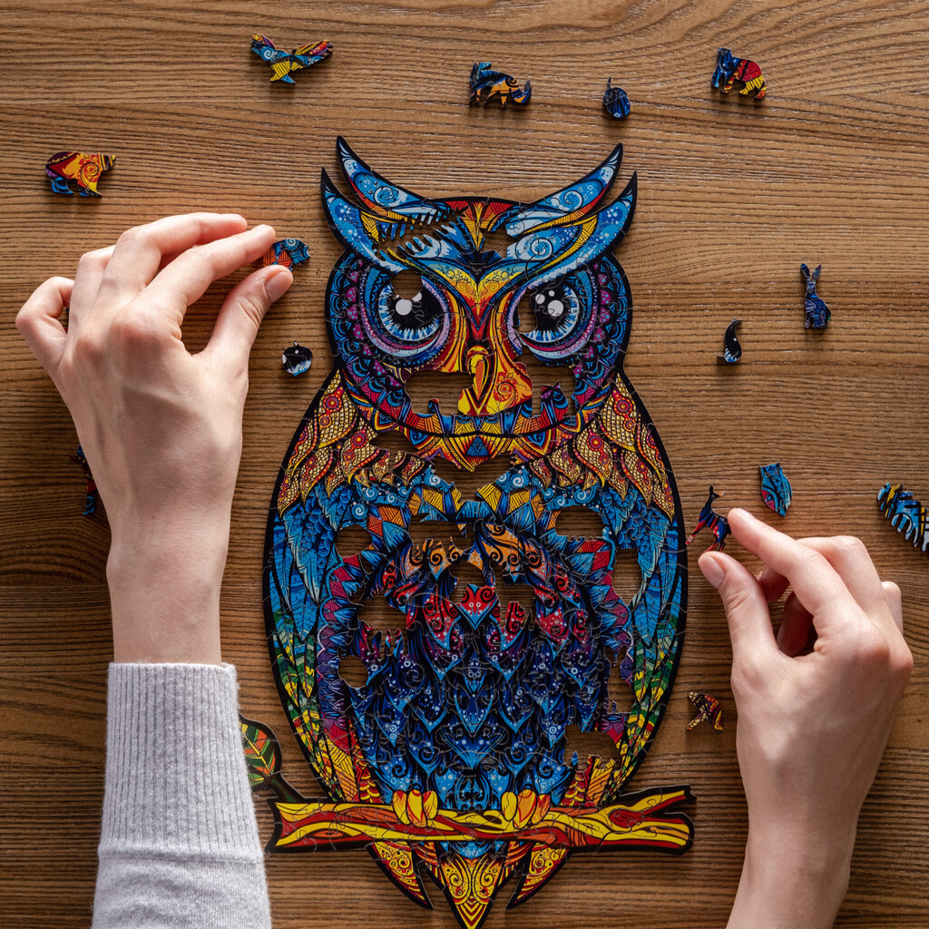 Medinė dėlionė Unidragon Charming Owl, 101 det. kaina ir informacija | Dėlionės (puzzle) | pigu.lt