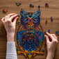 Medinė dėlionė Unidragon Charming Owl, 101 det. kaina ir informacija | Dėlionės (puzzle) | pigu.lt