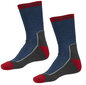 Kojinės unisex Alpinus Avrill FI18436, įvairių spalvų kaina ir informacija | Vyriškos kojinės | pigu.lt