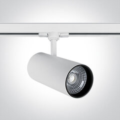 ONELight потолочный светильник COB Cylinder Track LED 65642CT/W/W цена и информация | Потолочные светильники | pigu.lt