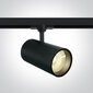 ONELight lubinis šviestuvas COB Cylinder Track LED 65642CT/B/W kaina ir informacija | Lubiniai šviestuvai | pigu.lt