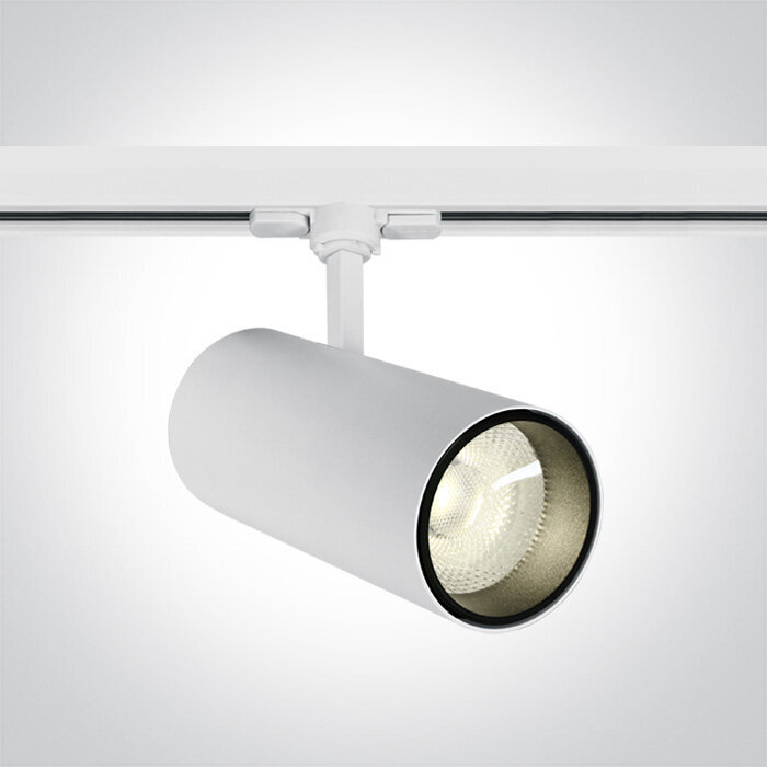 ONELight lubinis šviestuvas COB Cylinder Track LED 65642CT/W/C kaina ir informacija | Lubiniai šviestuvai | pigu.lt