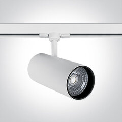 ONELight lubinis šviestuvas COB Cylinder Track LED 65642CT/W/C kaina ir informacija | Lubiniai šviestuvai | pigu.lt