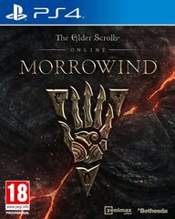 Elder Scrolls Online Morrowind Ps4 цена и информация | Bethesda Компьютерная техника | pigu.lt