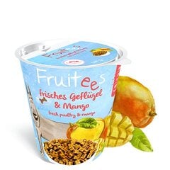 Лакомства для собак Fruitees Mango 0,2kg цена и информация | Лакомства для собак | pigu.lt